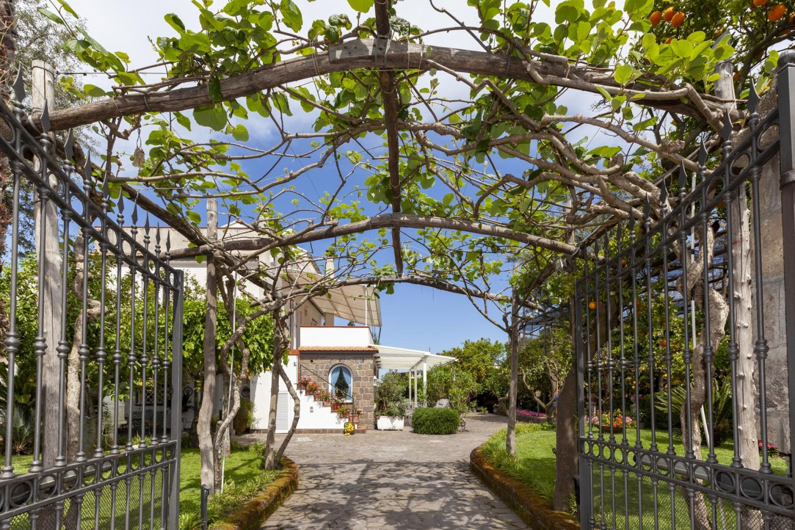 Visit our typical Sorrento garden with lemon grove-48